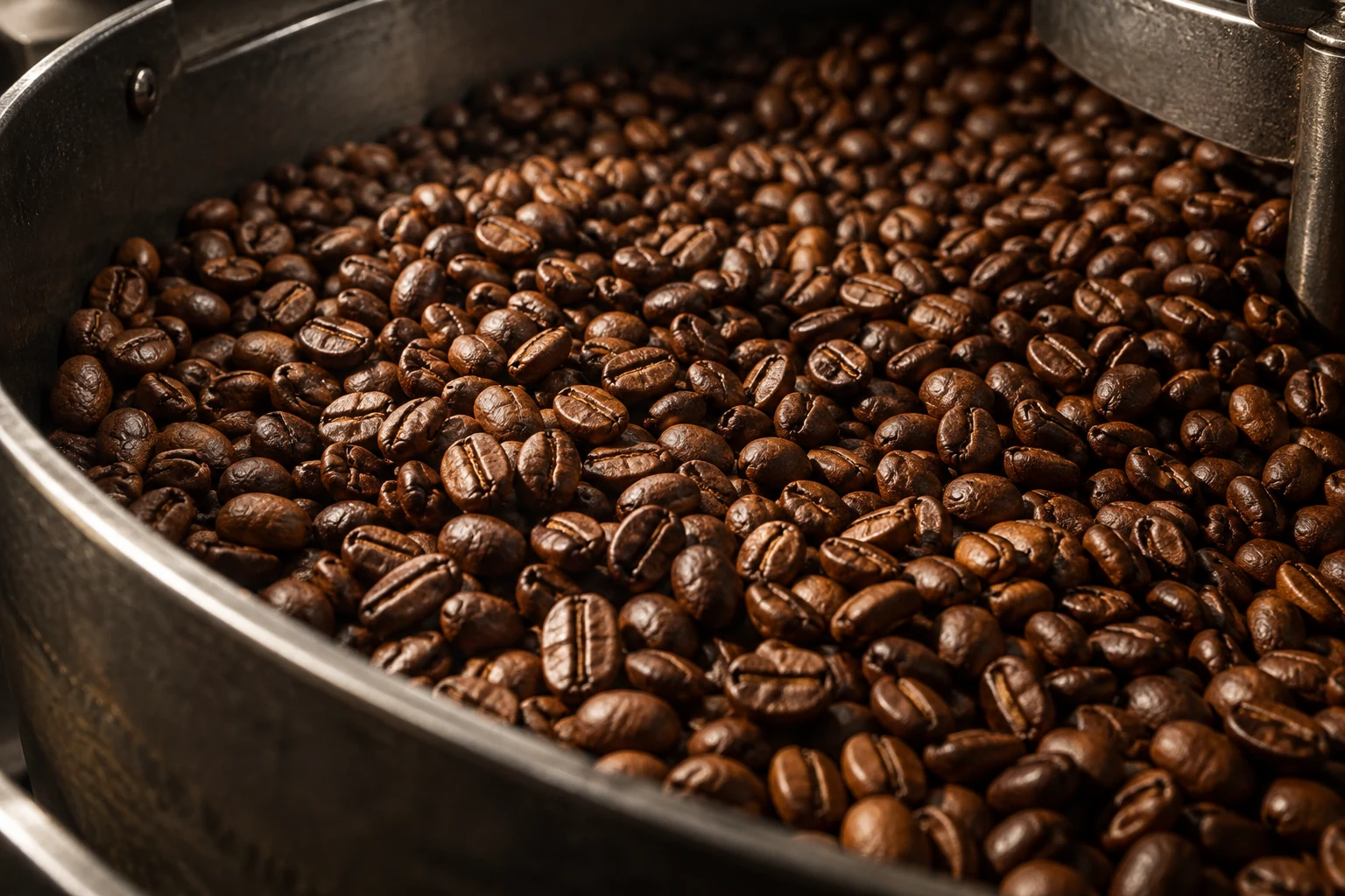 Close-up of richly roasted coffee beans